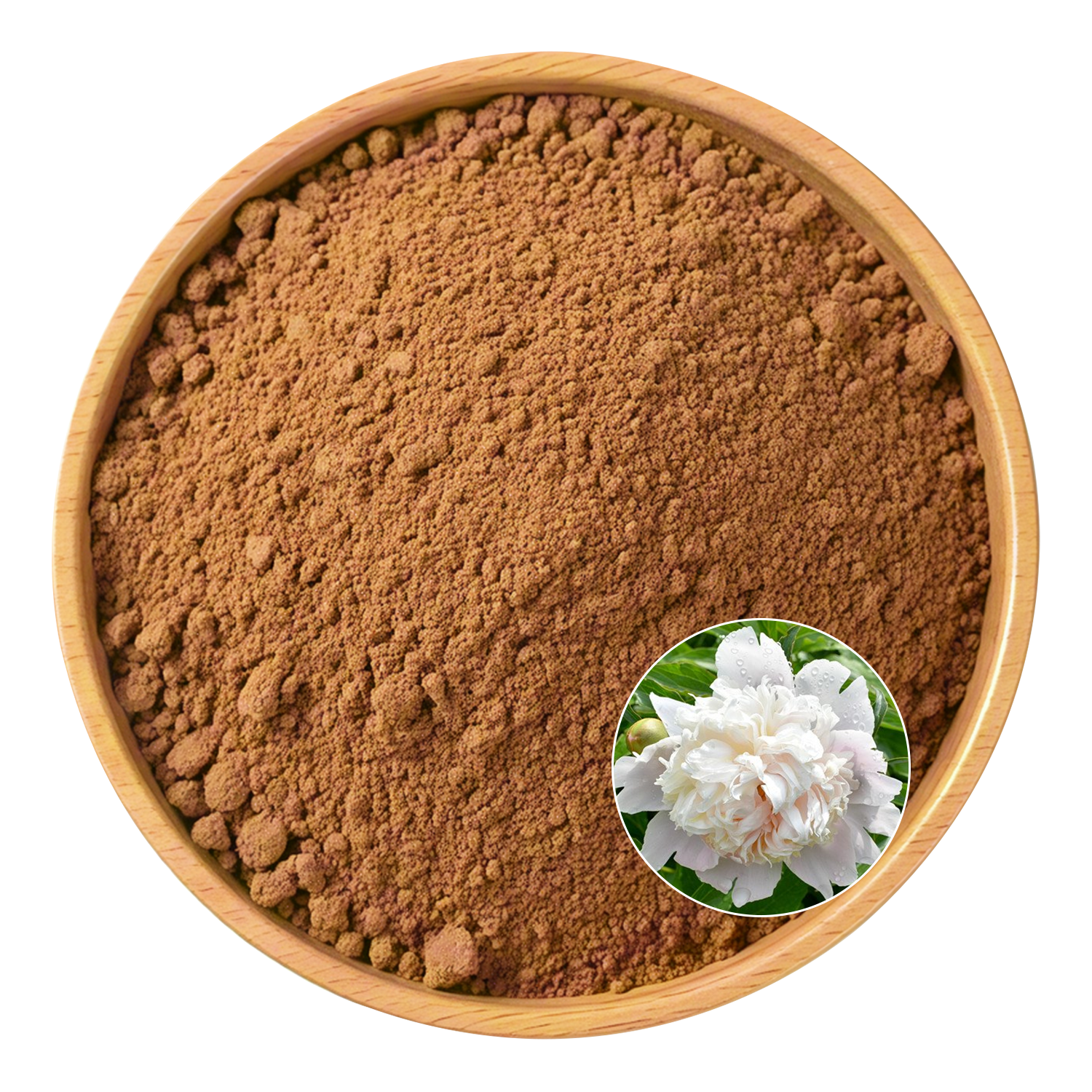 Paeonia Lactiflora Extract
