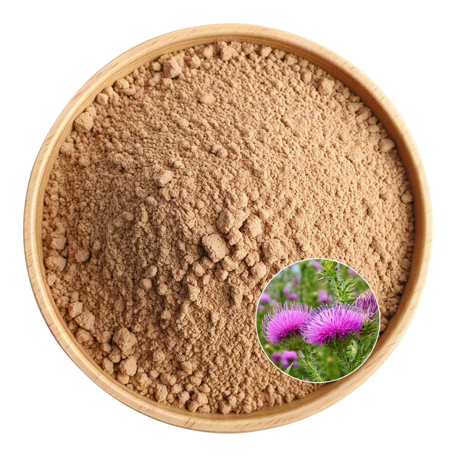 Milk Thistle Extract