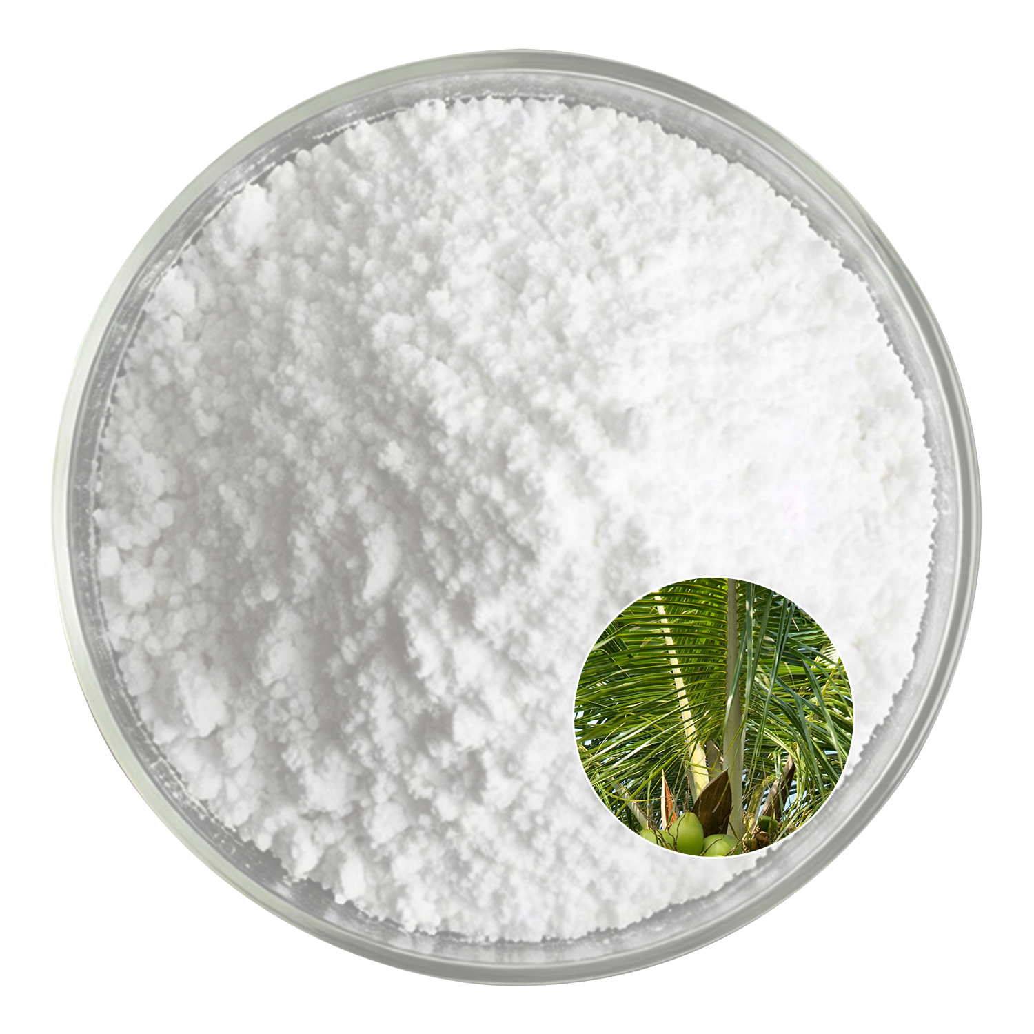 Saw Palmetto fatty acid 25%