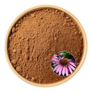 Echinacea Polyphenols 10%